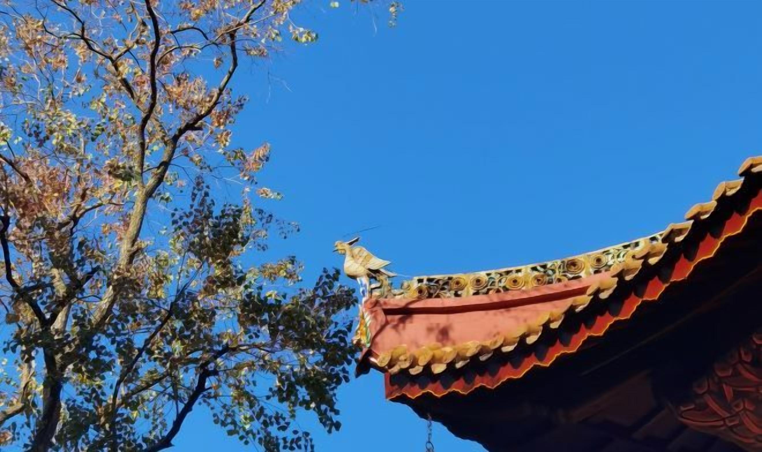 외부 세부 사진