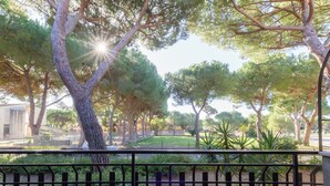 Un parc amb arbres, una tanca i un edifici al fons.
