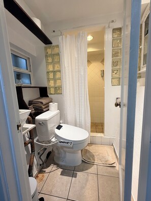 Shower, hair dryer, bidet, towels