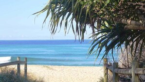 A beach with a wooden fence and palm trees. - Hibiscus Villa - Pet Friendly, Spacious beachfront studio, private courtyard (Coffs Harbour)