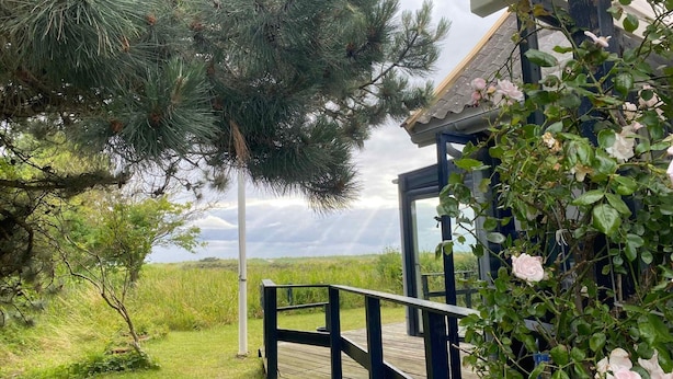 A wooden deck with a railing, a glass door, and a view of a grassy field and a tree. - 5 Star Holiday Home in Karrebaeksminde (Karrebæksminde)