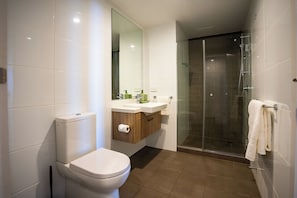 Hair dryer, towels, soap, toilet paper