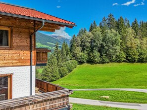 Property grounds - Two Alpine flats with charm (Wald im Pinzgau)