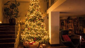 Un albero di Natale con luci e decorazioni in un soggiorno con una scala e una pianta in vaso.
