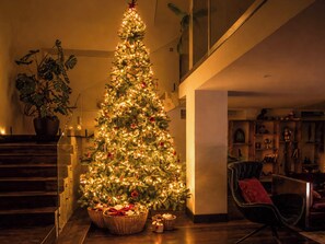 Unclassified image, 4 of 19, button