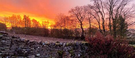 تناول الطعام بالخارج