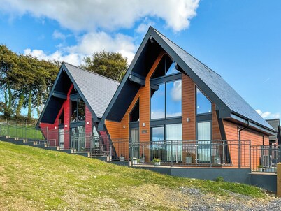 Centilen Pedr - Daffodil - UKC7078