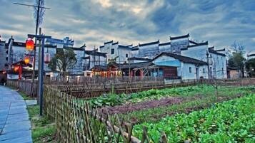 Khuôn viên nơi lưu trú