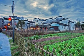 Terrain de l’hébergement 