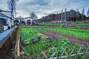 Garden - Homeward Bound Inn (Wuyuan)