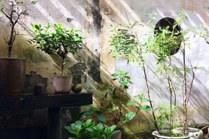 Garden - Homeward Bound Inn (Wuyuan)