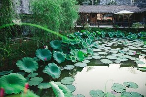 المنطقة المحيطة بالمنشأة