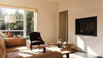 TV, fireplace, offices