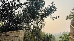 Een zwembad met houten terras en bamboe omheining, omgeven door bomen en begroeiing.