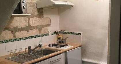 AVIGNON INTRA MUROS GRAND DUPLEX