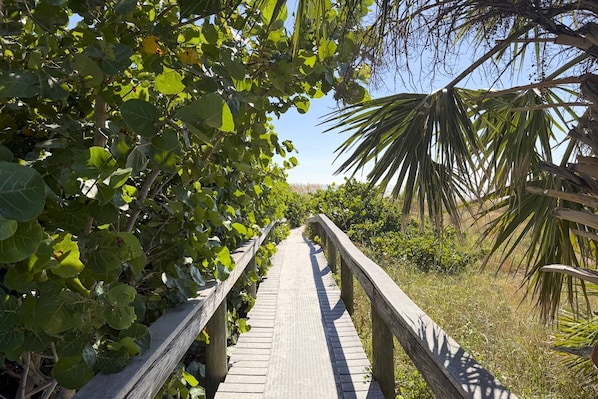 Terrain de lâhĂ©bergement