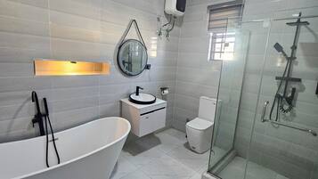 Shower, towels, soap, toilet paper