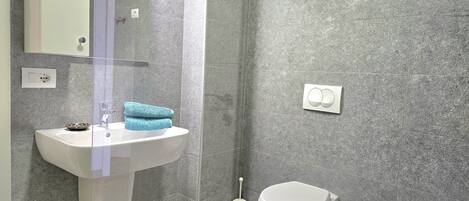 Shower, hair dryer, towels