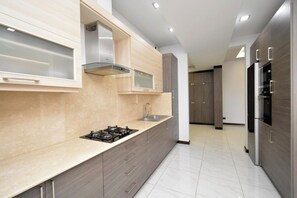 A modern kitchen with a gas stove, stainless steel sink, and wooden cabinets.