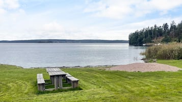 House | Property grounds