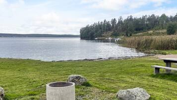 House | Property grounds