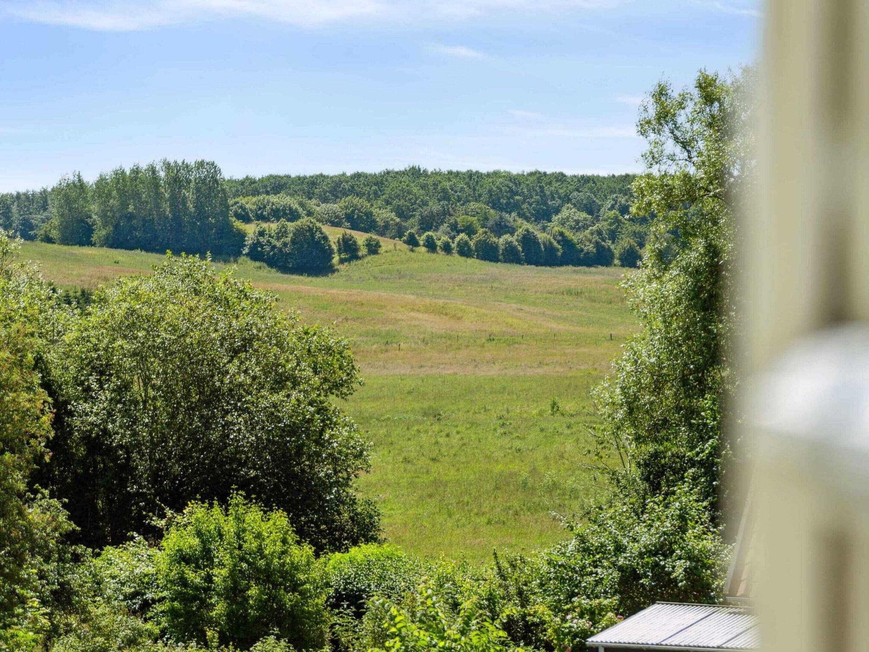 A view of a lush green landscape with rolling hills and dense forests in the background.