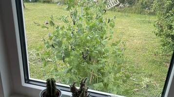 Talo | Näkymä majoituspaikasta