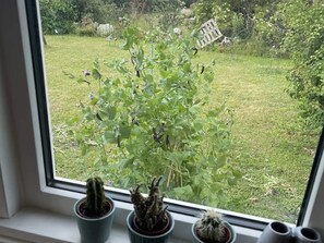 Talo | Näkymä majoituspaikasta