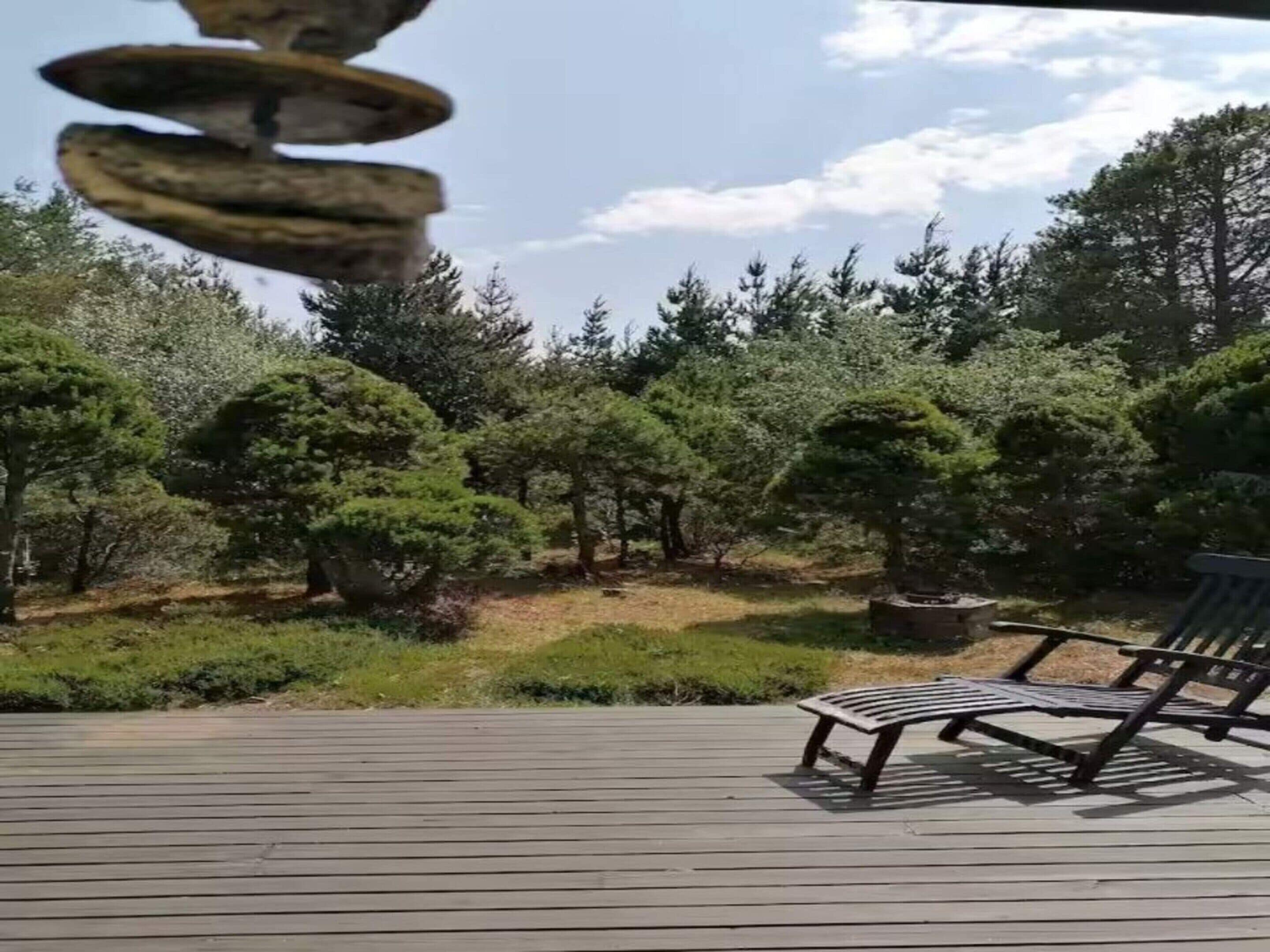 Casa | Terraza o patio