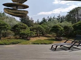 House | Terrace/patio