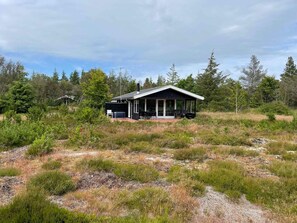 House | Exterior - 5 Star Holiday Home in Albaek (Aalbaek)