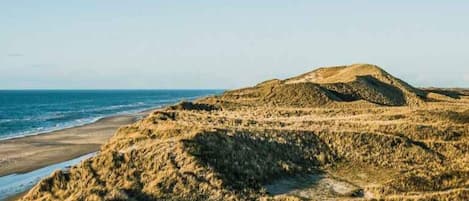 獨棟房屋 | 外觀