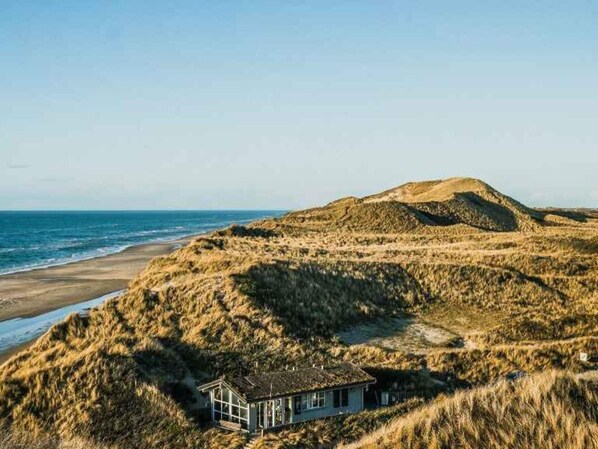 House | Exterior - 5 Star Holiday Home in Albaek (Aalbaek)