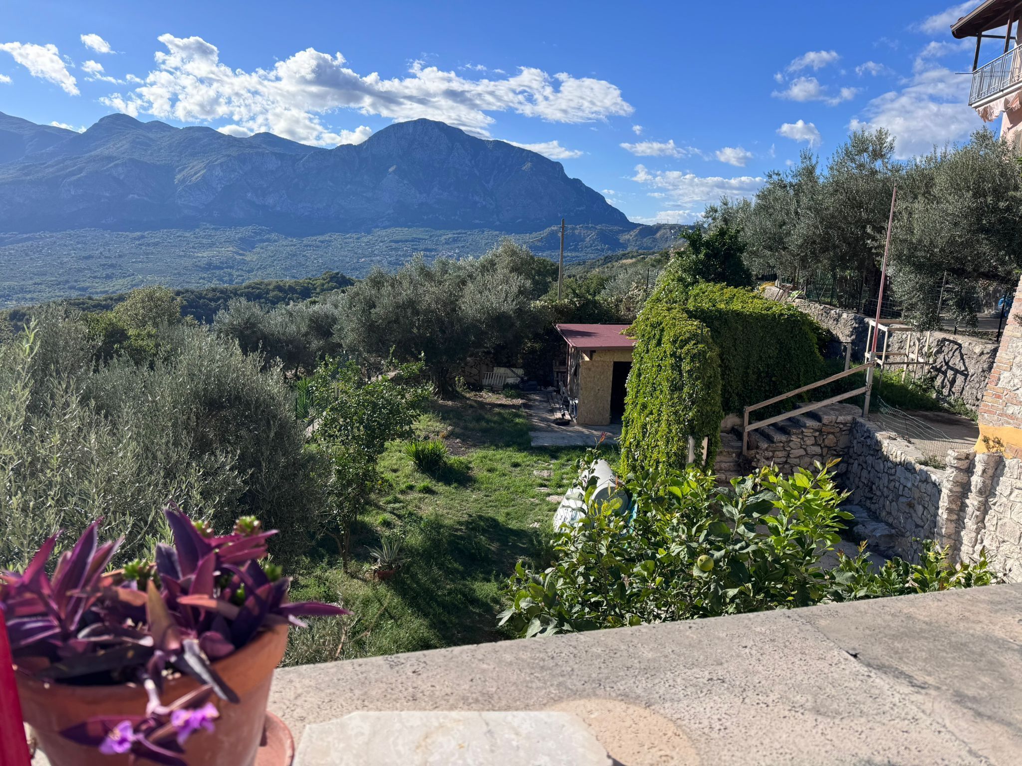 Terrein van de accommodatie