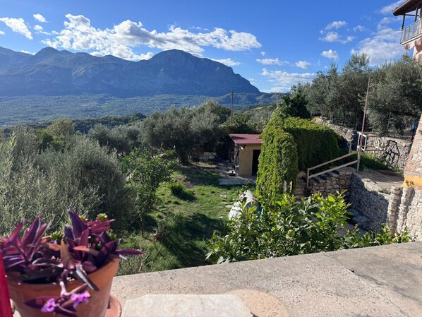 Àrea exterior de l'allotjament