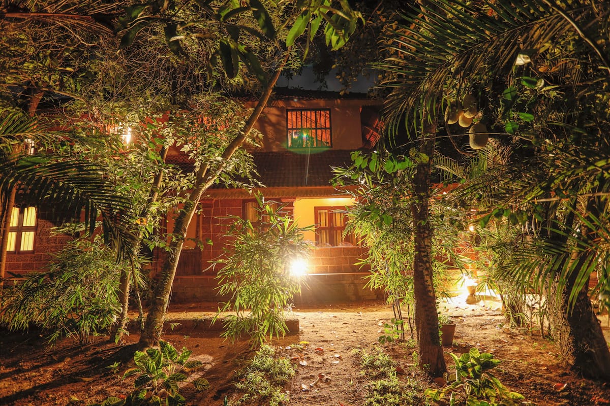 A rustic building surrounded by dense foliage, with a well-lit entrance and a visible window.