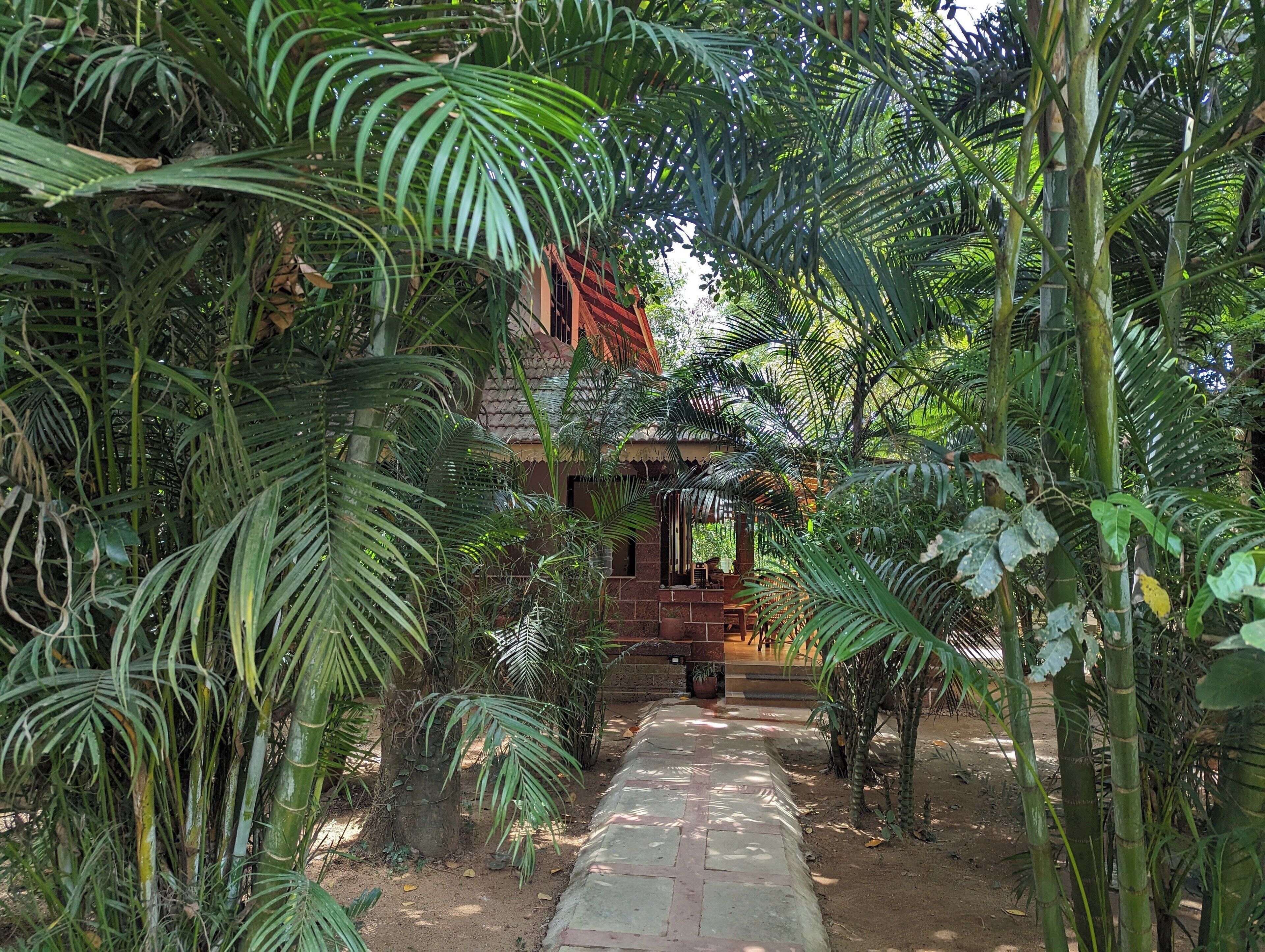 Ngoại thất