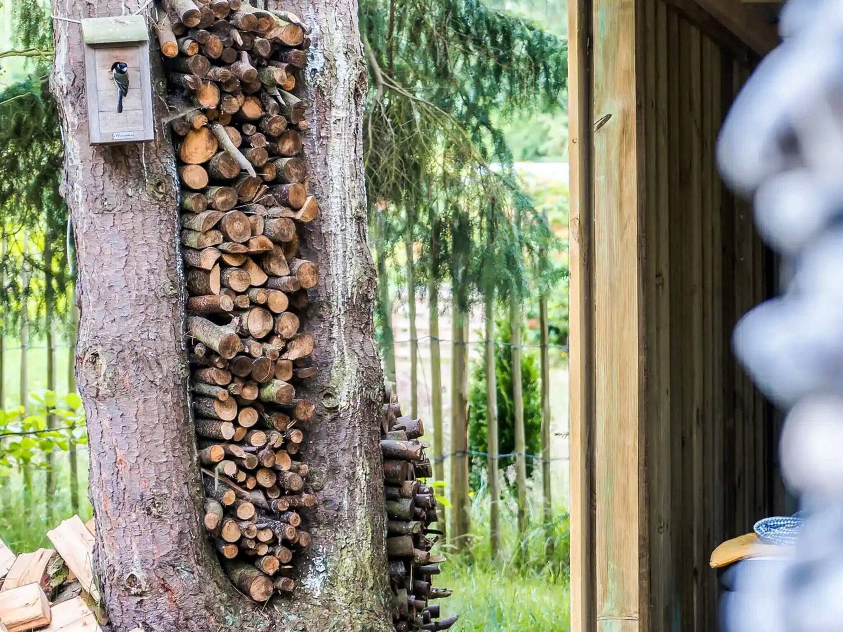 Hus | Udendørsområde