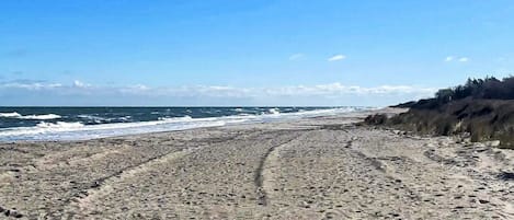 House | Beach