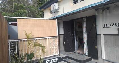 APPARTEMENT LE CARDINAL LES MEUBLĂS LEKANNISTEL