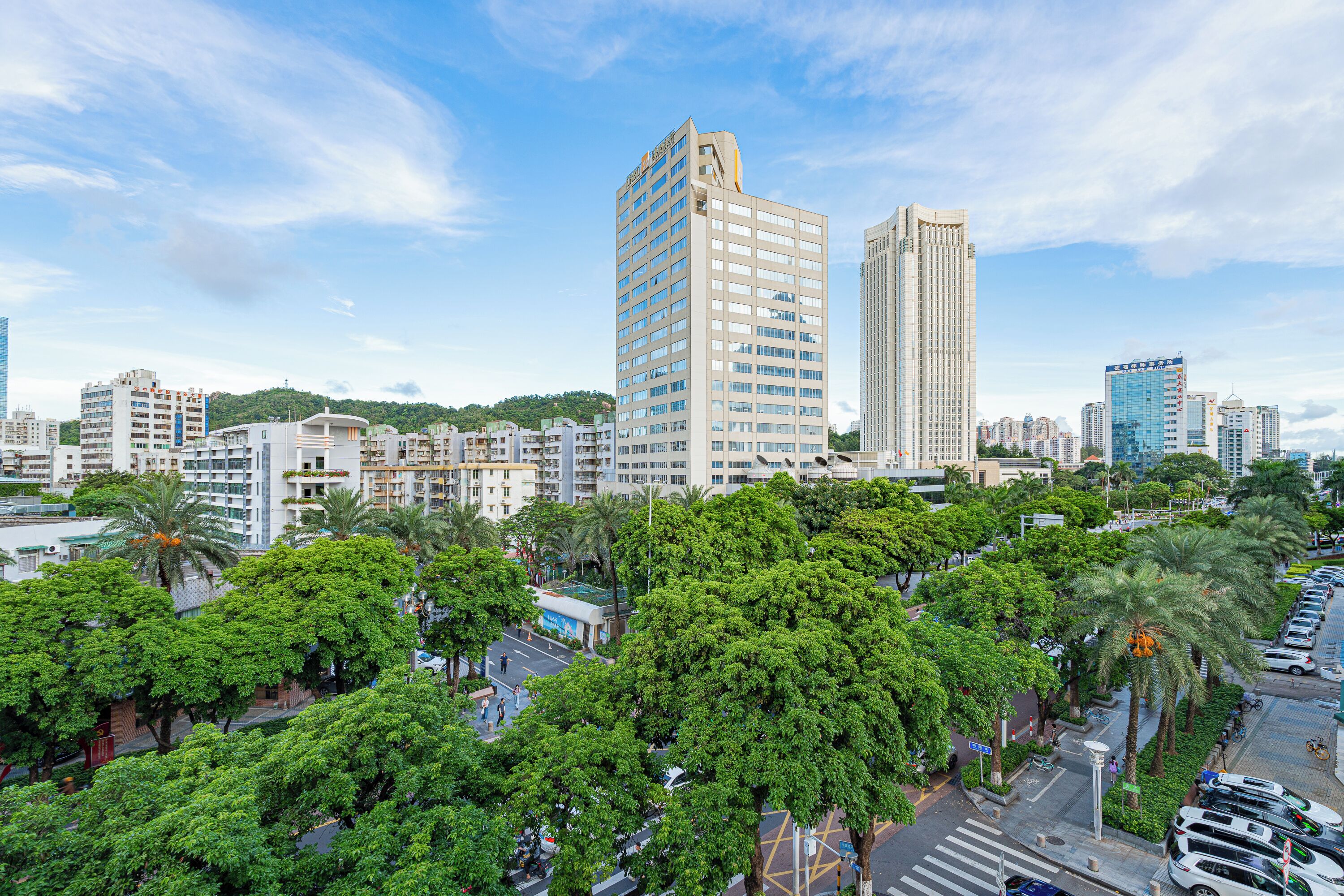Classic Room | View from room