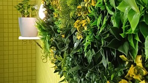 Eine vertikale Begrünung mit verschiedenen Pflanzen und Blumen, ein weißes Regal mit einem Blumentopf und eine gelb geflieste Wand.