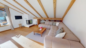 TV, fireplace, ping pong