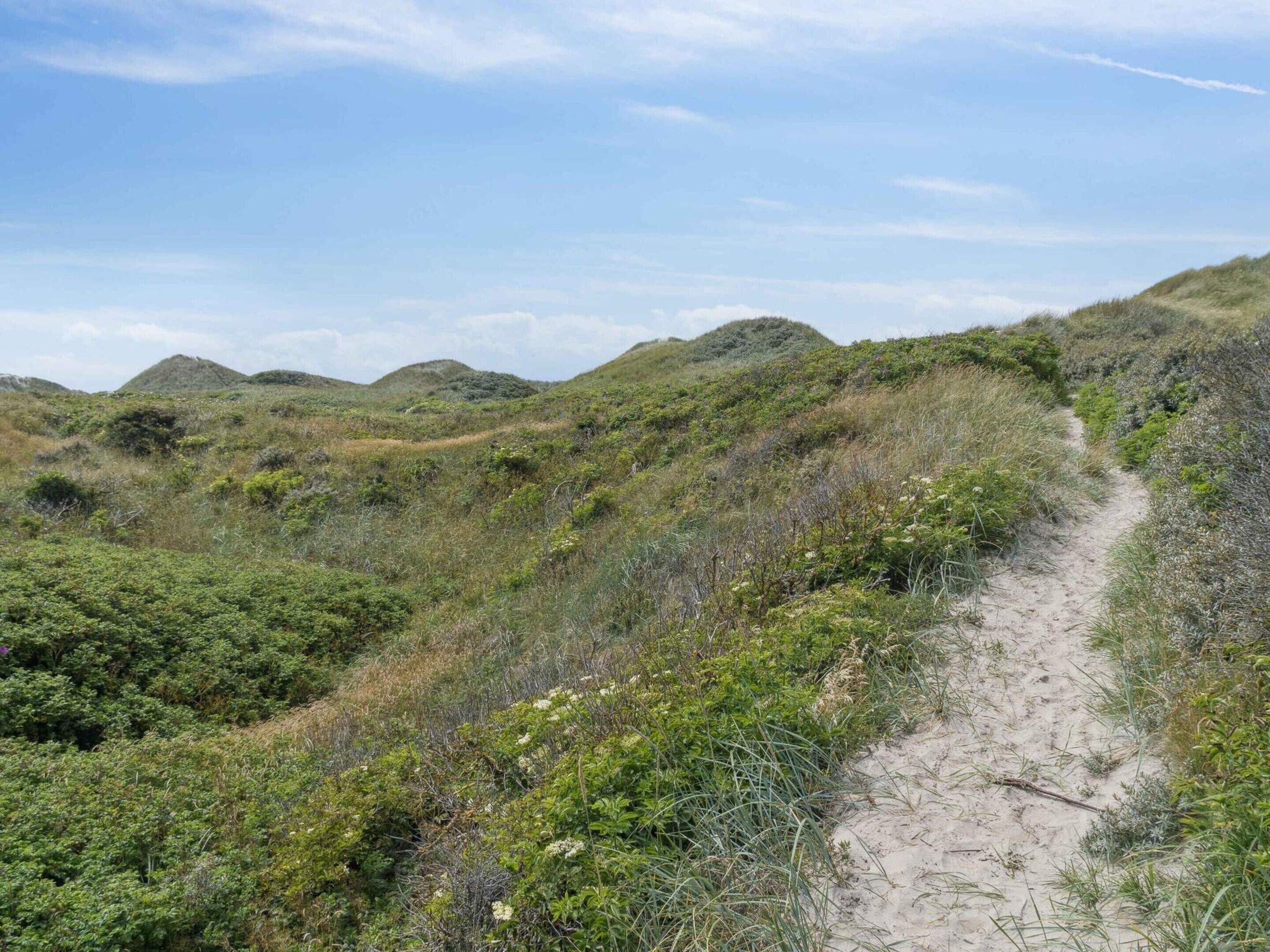 A sandy trail through a hilly, grassy area with sparse vegetation and distant hills.
