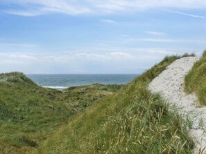 A coastal path with grassy dunes and a sandy trail leading towards the sea.