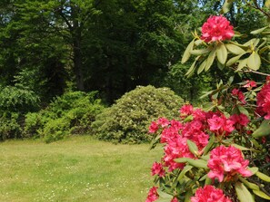 House | Exterior - 5 Star Holiday Home in Frederiksvaerk (Frederiksvaerk)