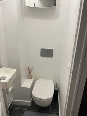 Hair dryer, bidet, towels, soap - 40 m2 appartement in the heart Of Paris (Paris)