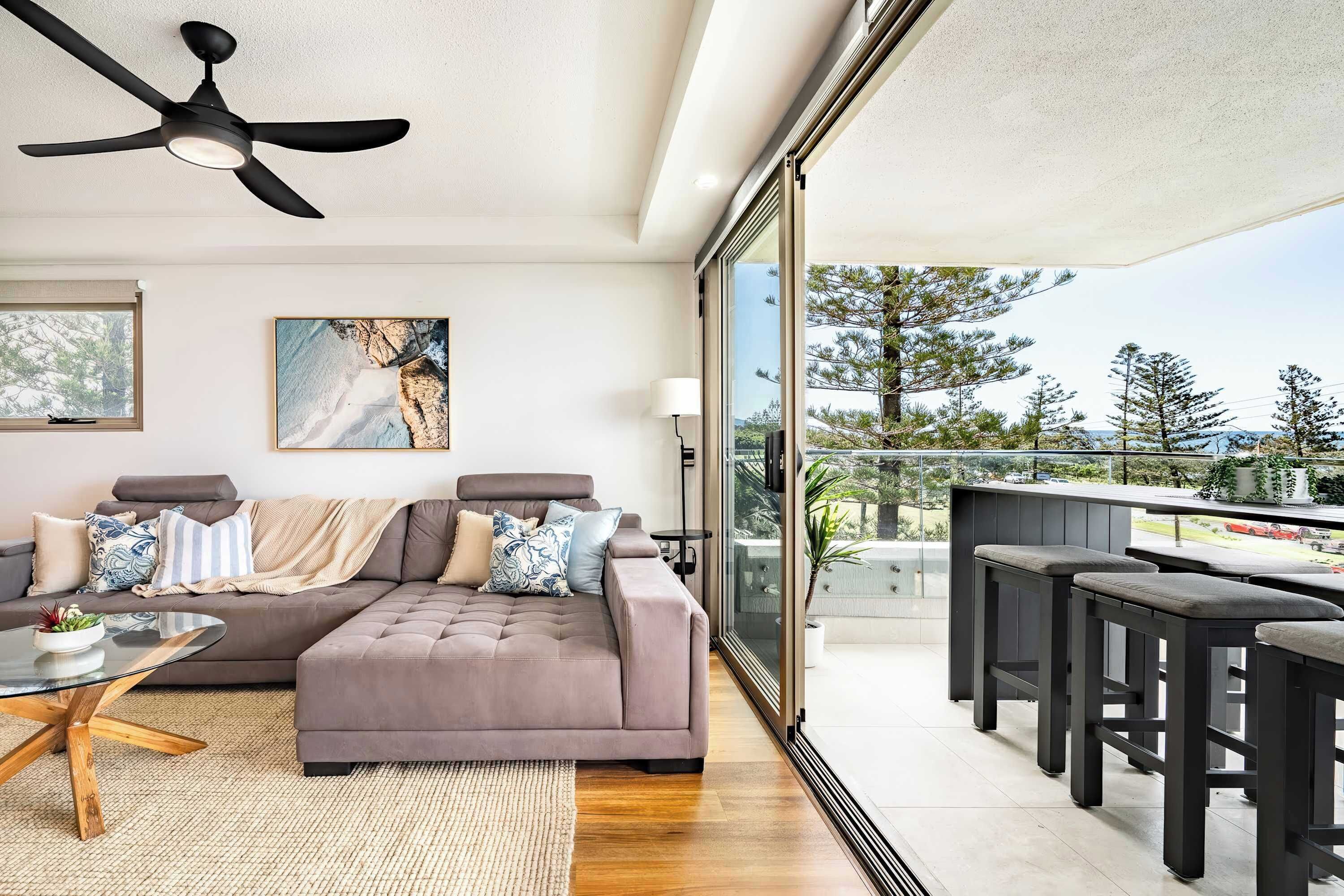 電視、書籍、 辦公室