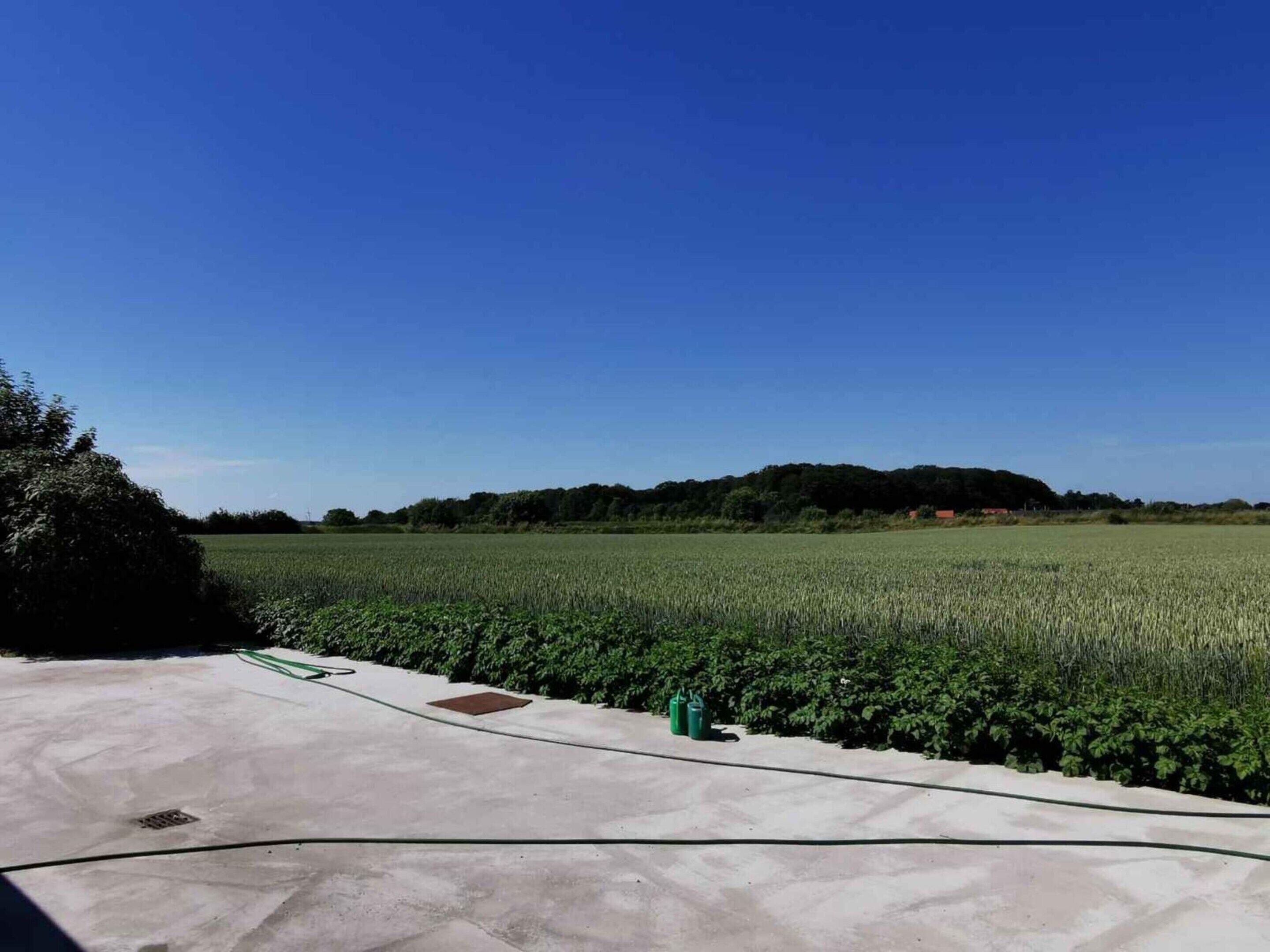 A concrete patio with a hose and a manhole cover, overlooking a green field and a hill with trees.