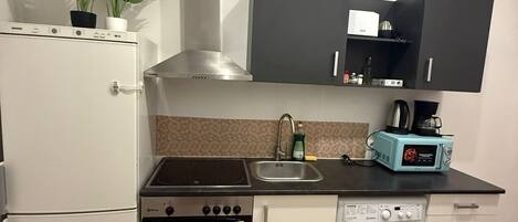Basic Apartment | Private kitchen | Fridge, microwave, oven, stovetop